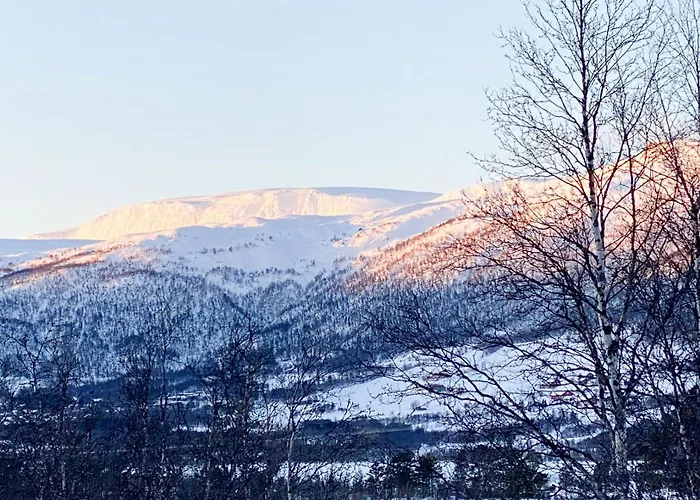 Modern Mountain Near Hiking Terrain Holiday home *